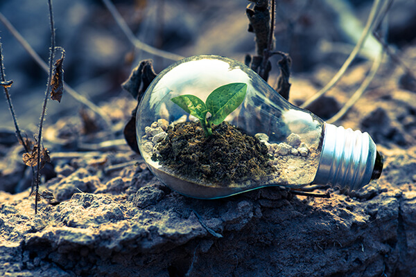 lightbulb on the ground with soil and a plant growing in the glass